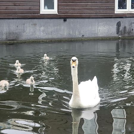 Lovely Canal Boat In Little Venice For Family & Friends Londen Buitenkant foto